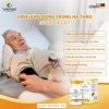 Cordyceps Warnke Cordyceps Extract 500mg