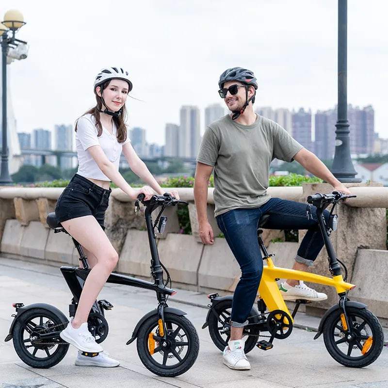2025 the Hottest and Best 250W Electric Bicycle with Foldable 36v Voltage Battery Removable Riding Max Range 45-55km E City Bike
