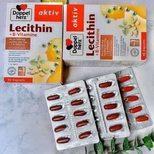 Doppelherz Lecithin Soybean Germ Essence Tablets + Vitamin B