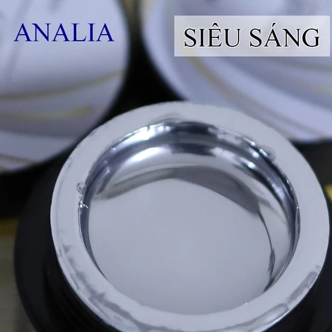 ANSC Mirror Coated Metal Painting Gel