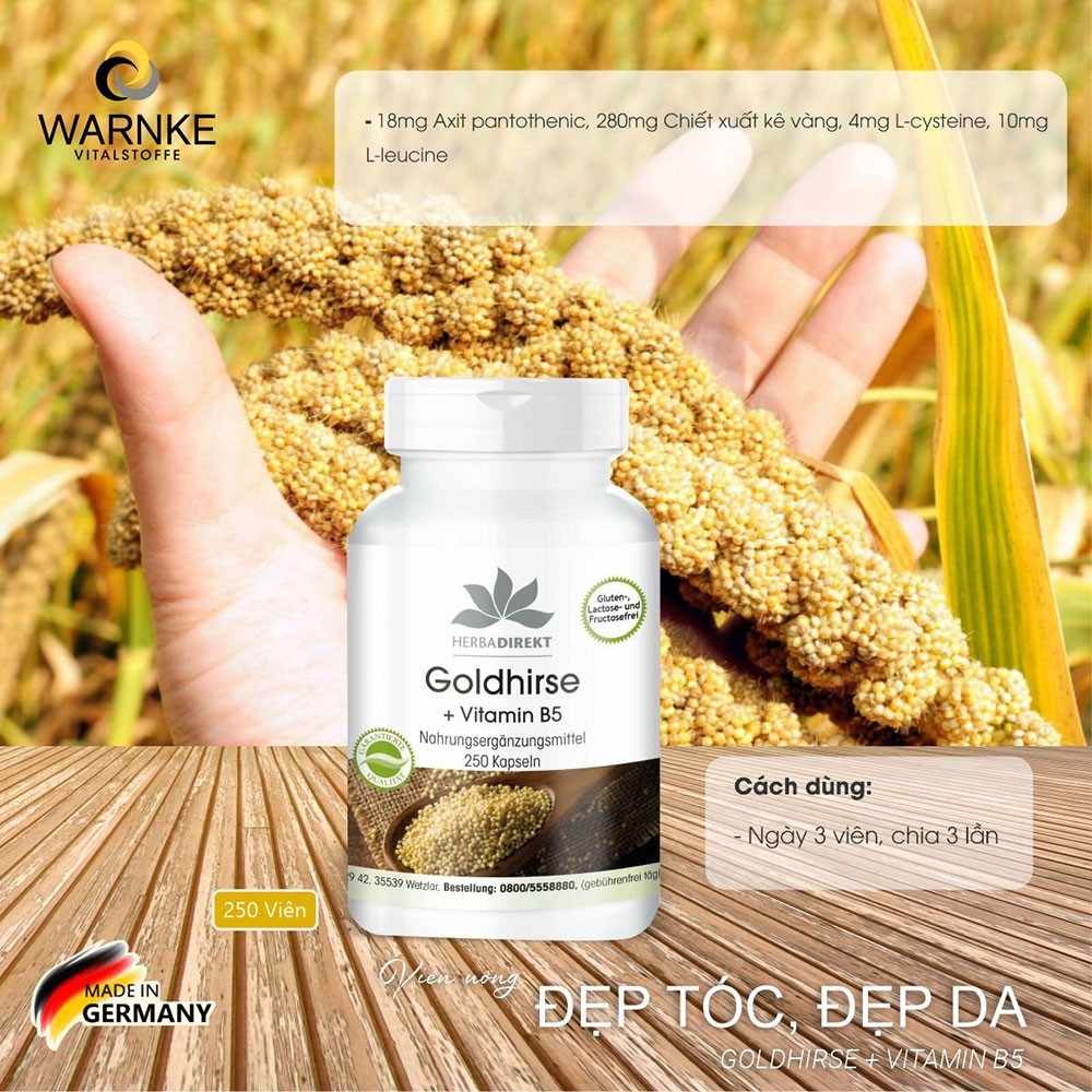 Warnke Goldhirse Yellow Millet Extract Tablets + Vitamin B5