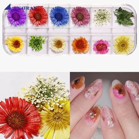 Dried flowers to decorate nails