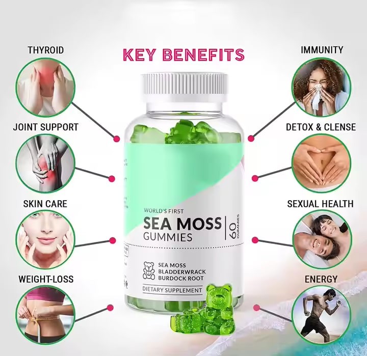 Biocaro Private Label Organic Irish Bulk Bladderwrack Burdock Root Elderberry Vegan Seamoss Sea Moss Gummies Supplier