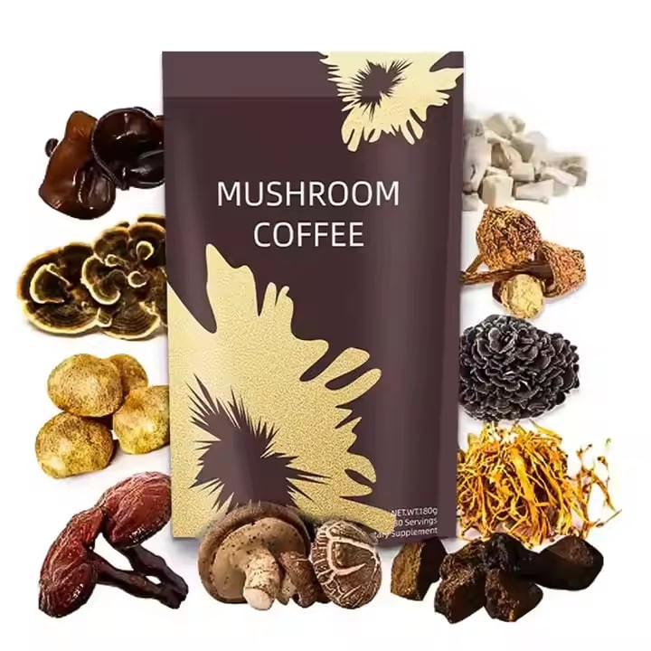 BIOCCHN Organic Chaga Lions Mane Mushroom Coffee Powder for Energy Focus Supplement