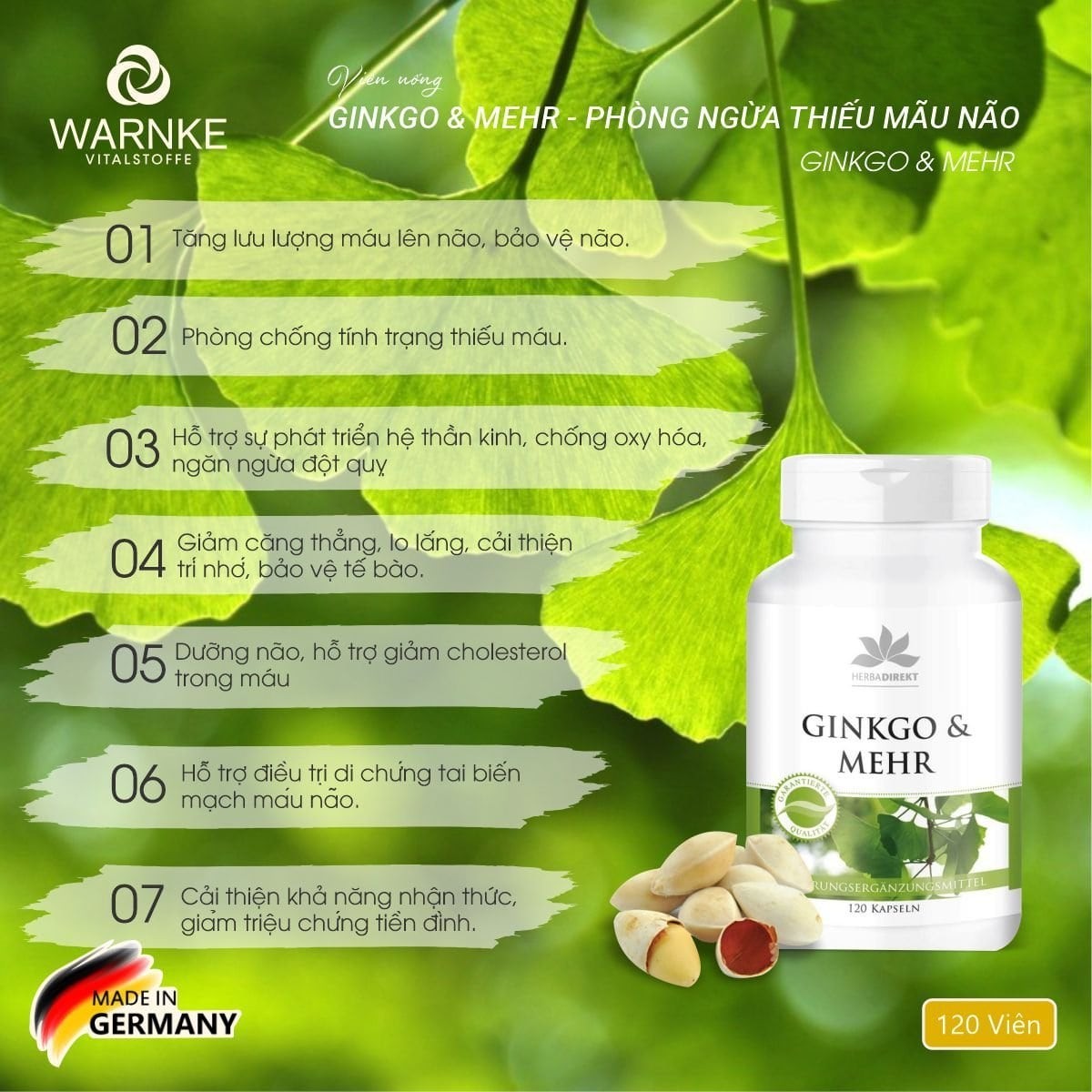 Warnke GinkGo and Mehr 120 tablets, prevention of cerebrovascular accidents