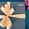 Hegen Express Store Feed Stater Kit Manual Breast Pump Gift Set