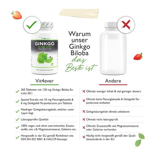 Ginkgo Biloba 6000 Vit4ever Brain Tonic